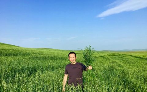 世界500強經理辭職種燕麥：7年燒掉3個億，只為種出一碗健康早餐